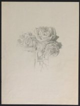 Sketch for Yellow Roses