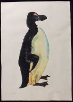 The Great Auk