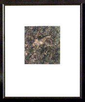 Decomposing Squirrel c.1996