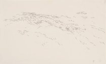 untitled (drawn from life)