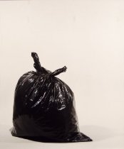 Garbage Bag (No. 9)