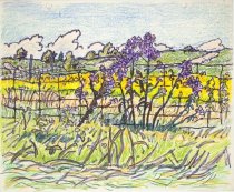 Bucke's Friday September 22, 1961 2P.M.