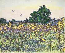 Bucke's Sunday September 10, 1961 3-4 PM