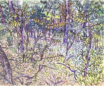 August 30, 1961 3 PM