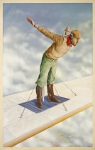 #1 for the Entertainment of the Crowd: Wing Walker