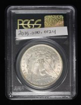 1884 Morgan Dollar R