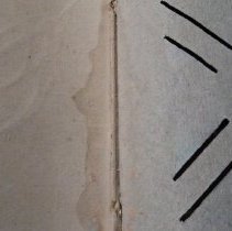 Evidence of past water damage