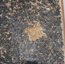 Front cover degredation