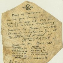 Piece of Peritoneum Dissected from Cadaver