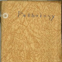 Class Notes of Marian Almgren