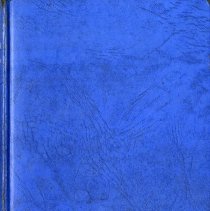 Female Sex Perversion