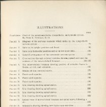An Analysis of the Osteopathic Lesion