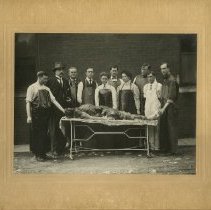 Outdoor Dissection Class