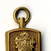 Service to Osteopathy Insignia