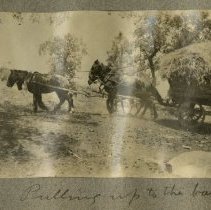 Pulling Up to the Farm