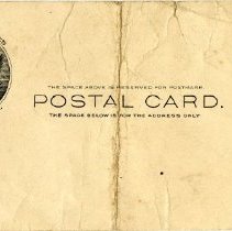 United States President McKinley and the American Eagle Postcard