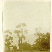 Scenic View of Ocean