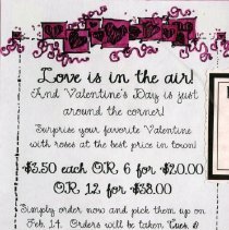 Valentine's Day Roses