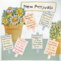 Page 50 of the Student Associates Auxiliary 1996 Scrapbook