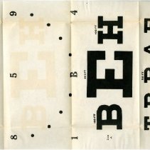 Large Loose Leaf Eye Test