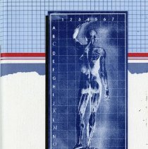 The Student Experience