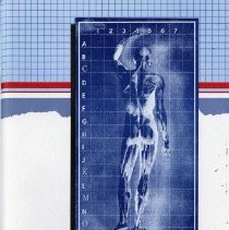 The Student Experience