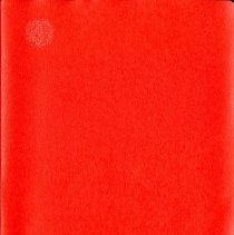 Direct Action Techniques Seminar