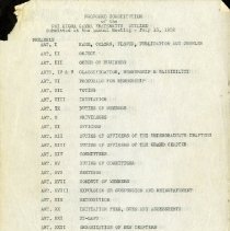 Proposed Constitution of the Phi Sigma Gamma Fraternity Outline