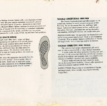 The Low Back from the Ground Up