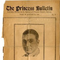 The Princess Bulletin