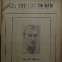 The Princess Bulletin