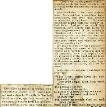 Obituary of Nellie E. Swetnam