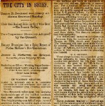 The City In Brief. James R. Redhead and Harry Anderson Drowned Sunday