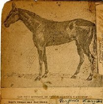 Imp's Owner and Her Home