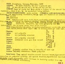 Examination Reports of Animals from Experimental Research