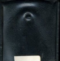 Missouri Osteopathic Hospital Association Minutes of Meetings 1945-1969