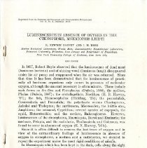 Luminescence in Absence of Oxygen in the Ctenophore, Mnemiopsis Leidyi