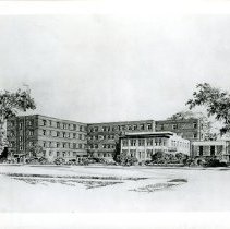Detroit Osteopathic Hospital Proposal
