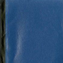 Toward a Neural Basis of the Osteopathic Lesion