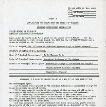 The Influence of Sustained Hyperactivity in Spinal Afferent Pathways on Spi