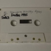 Seminar on Healthy Aging