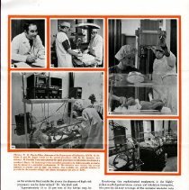 KOH Newsletter Volume 6, Number 1