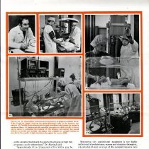 KOH Newsletter Volume 6, Number 1