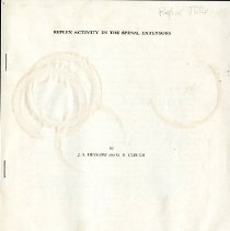 Reflex Activity in the Spinal Extensors