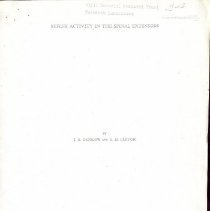 Reflex Activity in the Spinal Extensors