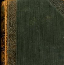 The Practice of Osteopathy