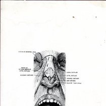 Nasal and Mouth Anatomy Diagram