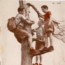 The Osteopathic Magazine, Vol. 30 No. 4