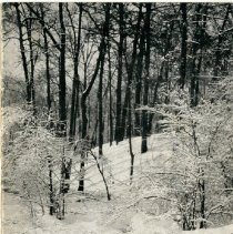 The Osteopathic Magazine, Vol. 25 No. 1