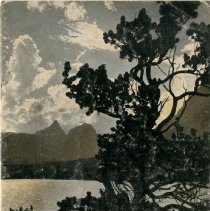 The Osteopathic Magazine, Vol. 25 No. 8